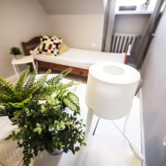 Bi-Pi Hostel Стандартный номер с разными типами кроватей фото 14