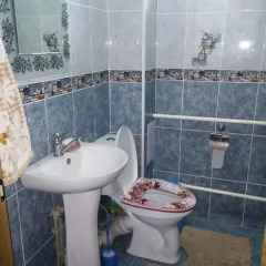 Отель Guest House Nurel Кыргызстан, Каракол - отзывы, цены и фото номеров - забронировать отель Guest House Nurel онлайн ванная фото 2