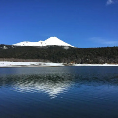 Отель Lodge Conguillio пляж