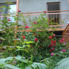 Отель Khachik's B&B фото 2