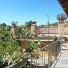 Отель Agriturismo La Terrazza sul Bosco Здание Barolo приотельная территория