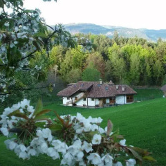 Отель Tinnerhof Аппиано-сулла-Страда-дель-Вино фото 10