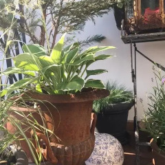 Отель Mikalojaus apartamentai фото 3