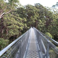 Peppermint Brook Cottages In Margaret River Australia From 99