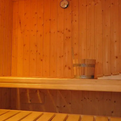 Отель Apartamentos Casa Pochetas сауна