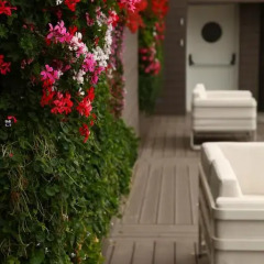 Eyal Hotel Израиль, Иерусалим - 2 отзыва об отеле, цены и фото номеров - забронировать отель Eyal Hotel онлайн фото 5