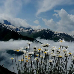 Ayder Cise Dag Evleri Шале с различными типами кроватей фото 32