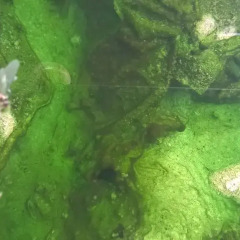 Отель Terme Belvedere Италия, Абано-Терме - отзывы, цены и фото номеров - забронировать отель Terme Belvedere онлайн приотельная территория