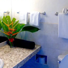 Отель Goblin Hill Villas at San San 3* Вилла с различными типами кроватей фото 17