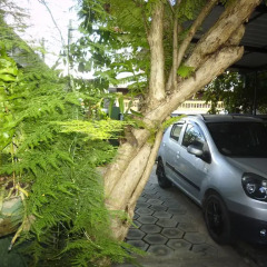 Отель Taprobane Home Stay - Negombo парковка
