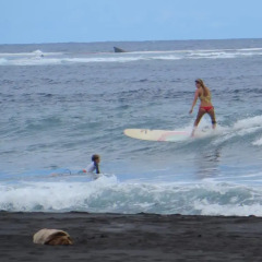 Отель Taharuu Surf Lodge пляж фото 2