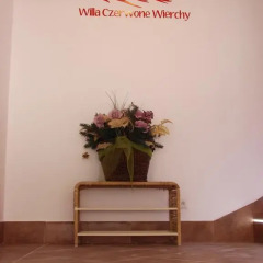 Отель Willa Czerwone Wierchy Косцелиско развлечения