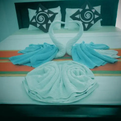 Отель Blue Water Lily комната для гостей фото 4