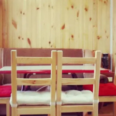 Гостиница Agria Guest House в Анапе отзывы, цены и фото номеров - забронировать гостиницу Agria Guest House онлайн Анапа детские мероприятия фото 2