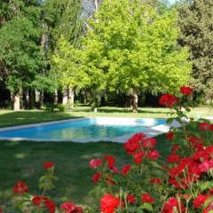 Отель Chalet Finca Nim Сан-Рафаэль бассейн