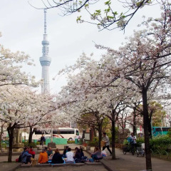 Отель Sakura Ikebukuro Токио спортивное сооружение