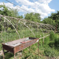 Отель Gor's B&B развлечения