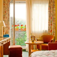 Отель Danubius Health Spa Resort Butterfly 4* Стандартный номер с различными типами кроватей фото 6