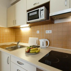 Отель Vivaldi Apartments Budapest Венгрия, Будапешт - отзывы, цены и фото номеров - забронировать отель Vivaldi Apartments Budapest онлайн в номере фото 2