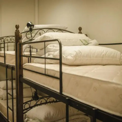 Hostel Cats детские мероприятия
