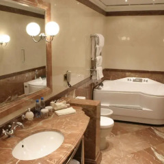 Гостиница Савой 5* Президентский люкс с разными типами кроватей фото 6