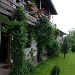 Отель Guest House Dan Kolov Болгария, Габрово - отзывы, цены и фото номеров - забронировать отель Guest House Dan Kolov онлайн фото 4