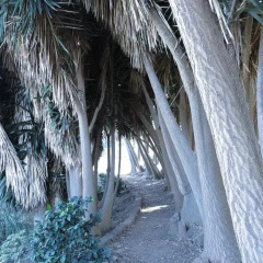 Отель Haciendas del Valle - Las Kentias пляж