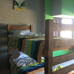 Baja's Cactus Hostel Стандартный номер с различными типами кроватей фото 8
