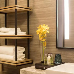DoubleTree by Hilton Hotel Shenzhen Longhua 4* Стандартный номер с различными типами кроватей фото 2