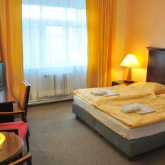 Hotel Svornost 3* Стандартный номер с двуспальной кроватью фото 12