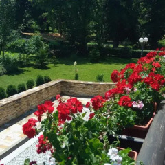 Park Hotel Izvorite 3* Студия фото 5
