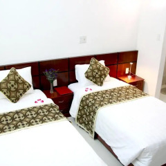 Отель Hoi An Golden Horse Villa 2* Улучшенный номер с 2 отдельными кроватями фото 2