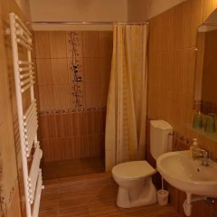Отель Guest house Magyar Route 66 Венгрия, Силвашварад - отзывы, цены и фото номеров - забронировать отель Guest house Magyar Route 66 онлайн ванная фото 2