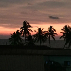 Отель Negombo BnB пляж