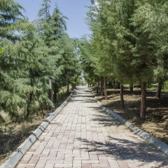 Midas Haymana Termal Hotel 4* Стандартный номер фото 24