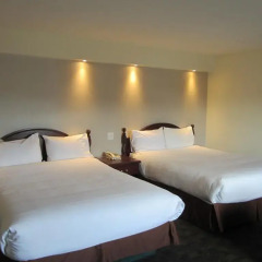 Отель Chalet Continental Motel 2* Стандартный номер с различными типами кроватей фото 3