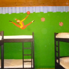 Viajero Cali Hostel & Salsa School Кровать в женском общем номере с двухъярусной кроватью фото 2