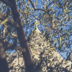 Отель Residenze nei Trulli Альберобелло приотельная территория