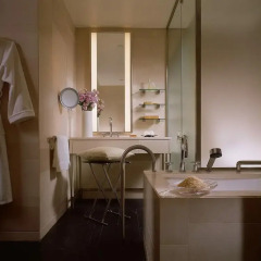 Four Seasons Hotel Tokyo at Marunouchi 5* Номер категории Премиум с различными типами кроватей фото 4