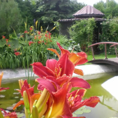 Отель Bellavilla Вильнюс