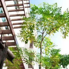 Отель The Meet Green Apartment Таиланд, Бангкок - отзывы, цены и фото номеров - забронировать отель The Meet Green Apartment онлайн развлечения
