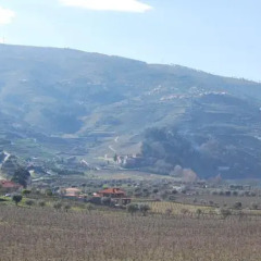 Отель Quinta De Tourais Португалия, Ламего - отзывы, цены и фото номеров - забронировать отель Quinta De Tourais онлайн фото 9