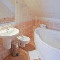 Отель EA Hotel Esplanade Чехия, Карловы Вары - 2 отзыва об отеле, цены и фото номеров - забронировать отель EA Hotel Esplanade онлайн ванная фото 2