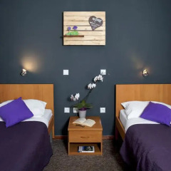 Hotel Fala 2* Номер категории Эконом с различными типами кроватей фото 3