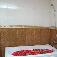 Begonia Nha Trang Hotel 3* Номер Делюкс с различными типами кроватей фото 4