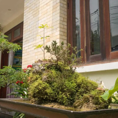 Отель Green Grass Land Villa 3* Номер Делюкс с различными типами кроватей фото 5