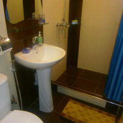 Отель Aygestan Comfort Holiday Home ванная