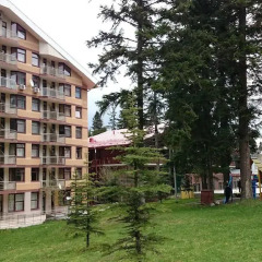 Отель TES Flora Apartments Болгария, Боровец - отзывы, цены и фото номеров - забронировать отель TES Flora Apartments онлайн фото 5