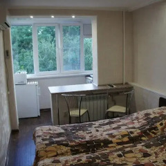 Гостиница Zheleznovodsk Apartment on Lenina в Железноводске отзывы, цены и фото номеров - забронировать гостиницу Zheleznovodsk Apartment on Lenina онлайн Железноводск комната для гостей фото 2