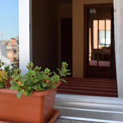 Отель Apartamentos Campana Эль-Грове балкон
